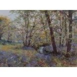 Deborah Poynton, Bluebell Wood, with meandering stream, oil on canvas.