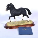 Border Fine Arts model, Welsh Cob Stallion - section D, limited edition 632/1250