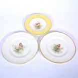 Three Royal Worcester cabinet plates painted by E Townsend