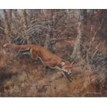 John Theodore Kenney, Fox in woodland,