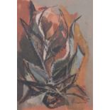 Al Blaustein, Abstract exotic plant study