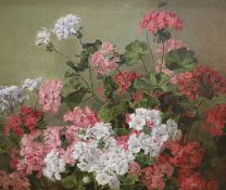 H. Wallace, oil on canvas, Still life of Geraniums, signed, 50 x 61 cm