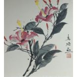 Chinese School, watercolour on paper, Study of magnolia blossom, 38 x 35cm, unframed