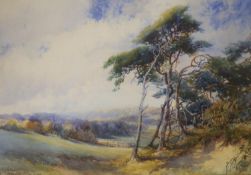 Charles Harrington (1865-1943), watercolour, landscape with Pinetrees in the foreground, sign 44 x