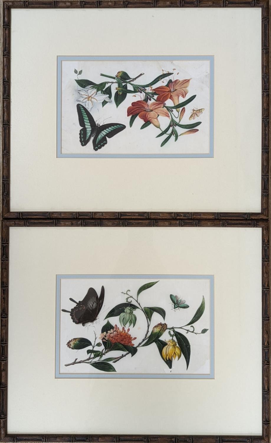 19th century Chinese School, pair of gouache on pith paper, Studies of butterflies and flowers, 14 x