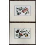 19th century Chinese School, pair of gouache on pith paper, Studies of butterflies and flowers, 14 x