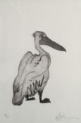 Modern British, limited edition print, Study of a pelican, signed, 49/120, 44 x 30cm