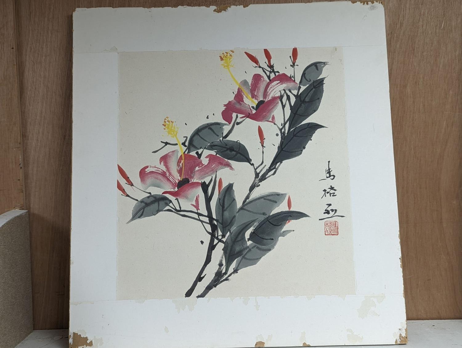 Chinese School, watercolour on paper, Study of magnolia blossom, 38 x 35cm, unframed - Image 2 of 4