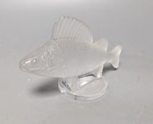 A Lalique clear and frosted glass Perche Poisson / Perch Fish car mascot, engraved mark Lalique