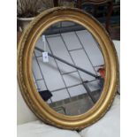 A Victorian oval giltwood and gesso wall mirror, width 80cm, height 94cm