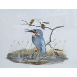 Peter Hayman (1930-), watercolour, Kingfisher beside a river, signed, 29 x 38cm