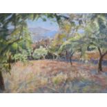 § Patrick Cullen (Contemporary) Orchard, Grats (Languedoc)PastelSigned46 x 61cm.
