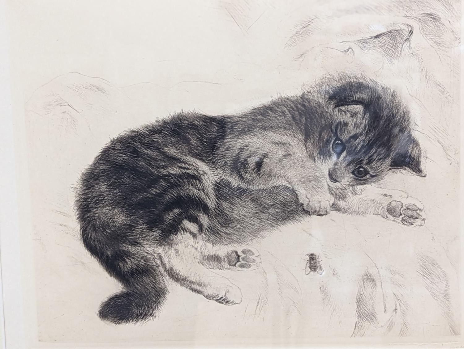 Kurt Meyer Eberhardt (1895-1977), drypoint etching, Kitten at play, signed in pencil, 23 x 28cm