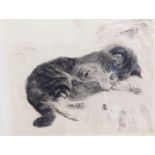 Kurt Meyer Eberhardt (1895-1977), drypoint etching, Kitten at play, signed in pencil, 23 x 28cm