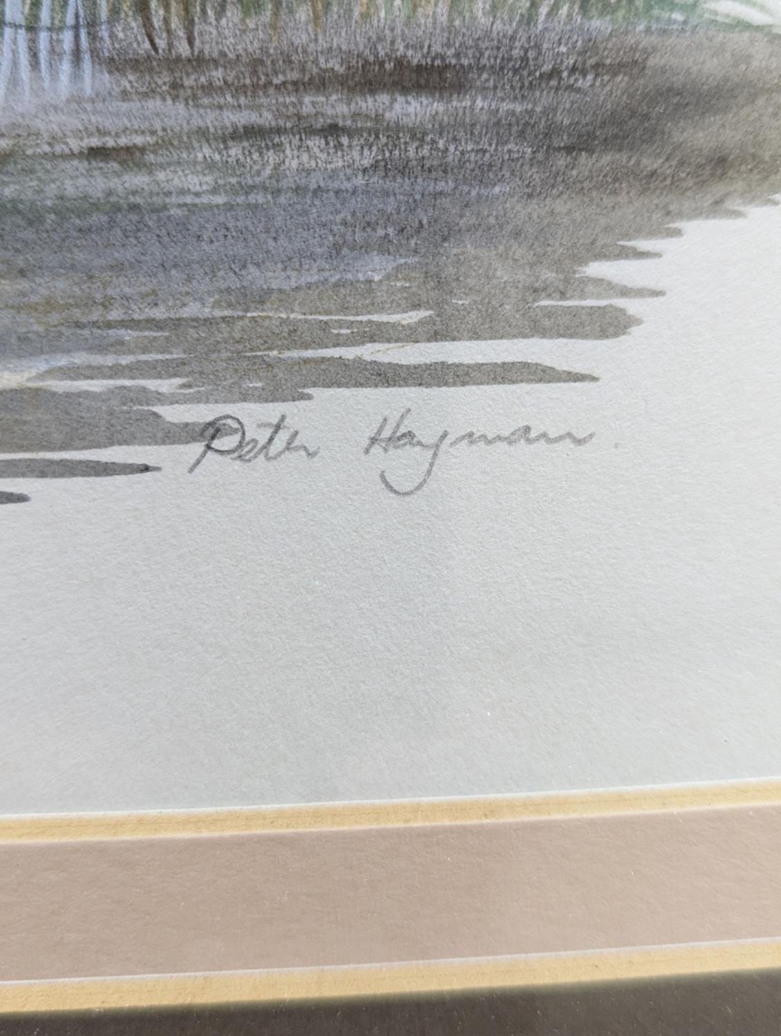 Peter Hayman (1930-), watercolour, Kingfisher beside a river, signed, 29 x 38cm - Image 3 of 4