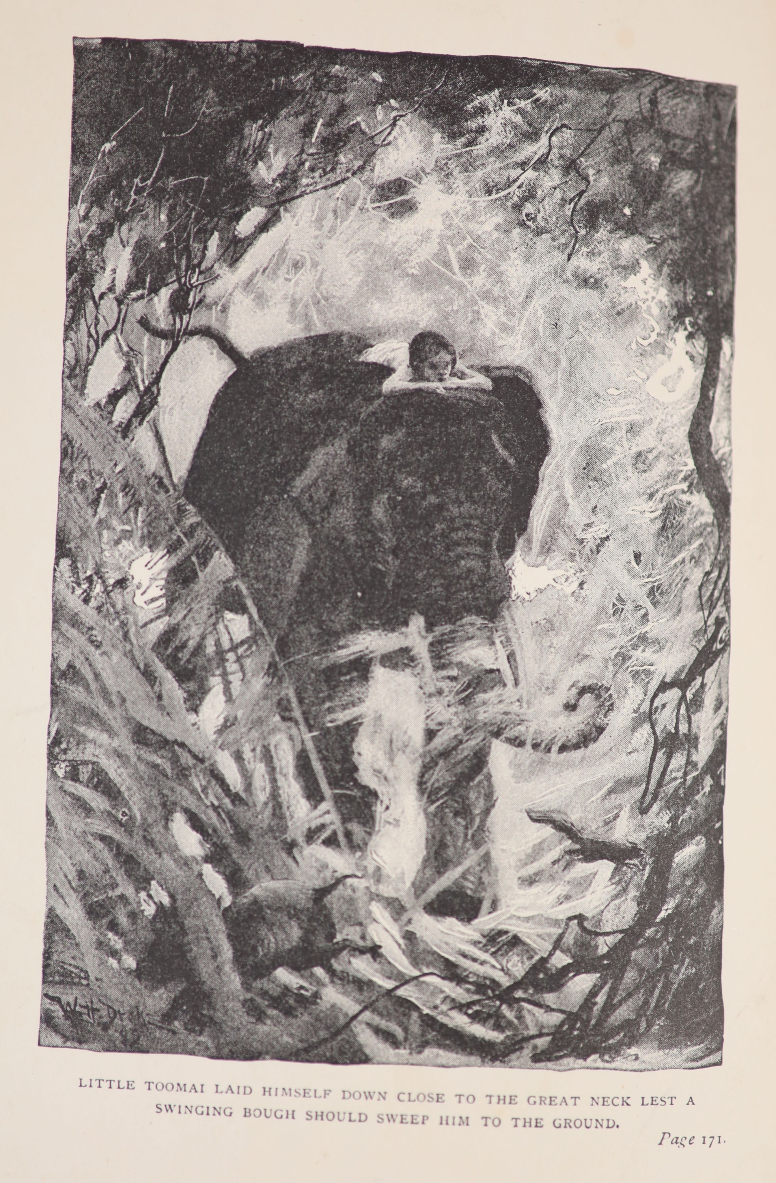 ° Kipling, Rudyard - The Jungle Book. With: The Second Jungle Book, 2 vols, (Jungle Book 1st - Image 3 of 5