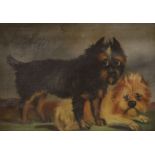 R. Stoar, oil on canvas, Primitive study of two terriers, signed, 31 x 44cm