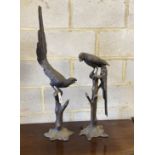 A pair of patinated cast metal macaws, larger height 88cm