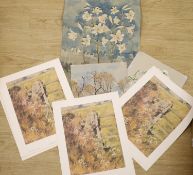 Michael Lawrence Cadman (1920-2010), small group of unframed watercolours, Botanical studies,