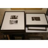 John Blakemore (1936-), eight assorted gelatin silver prints, Tulips 1988 with Zelda Cheatle Gallery