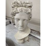 A plaster classical female bust. H-50cm.