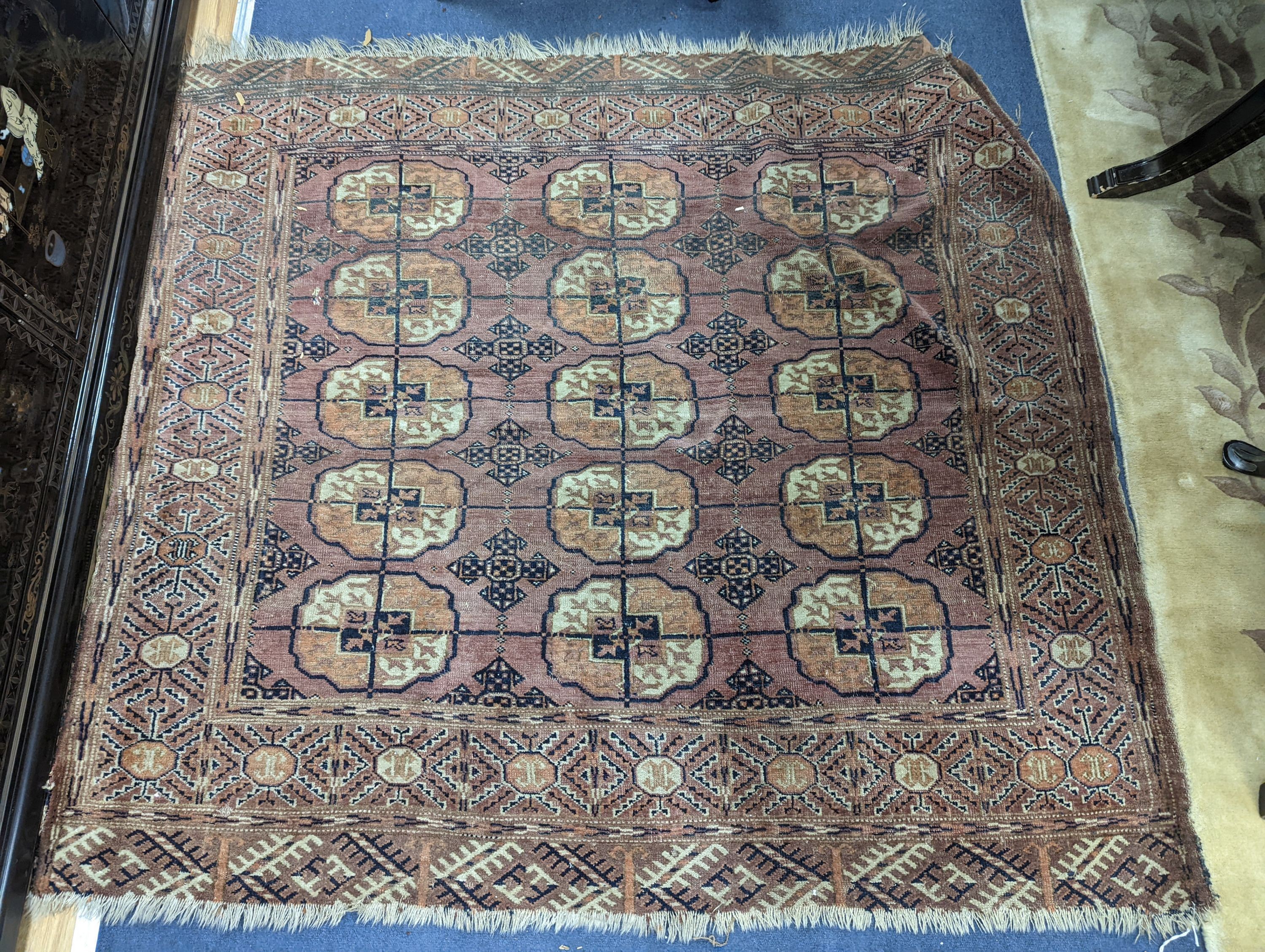 A Bokhara red ground rug. 147x133cm.