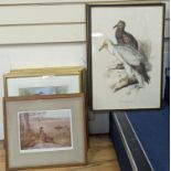 A group of assorted ornithological prints including three lithographs after Edward Lear, largest