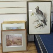 A group of assorted ornithological prints including three lithographs after Edward Lear, largest