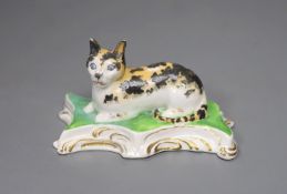 A rare Staffordshire porcelain figure of a recumbent tabby cat, c.1830-50, on a scroll work base,
