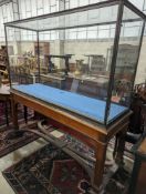 A late 19th century mahogany Museum display cabinet. W-191cm, D-70cm, H-194cm.