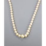 A single strand graduated cultured pearl necklace, with part of a 9ct gold clasp, 43cm.
