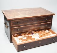 A George III mahogany collector’s cabinet of sea shells, in compartmentalised drawers. Width - 41cm