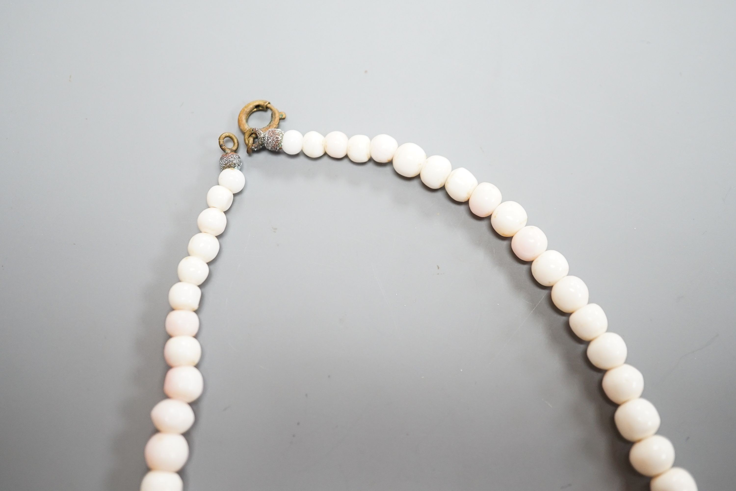 A single strand graduated bleached coral bead necklace, 51cm, gross 43.5 grams and a pair of 750 - Image 4 of 6