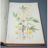 ° ° 'Everyone’s Garden’, a leather-bound privately produced volume of botanical watercolours with