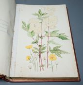 ° ° 'Everyone’s Garden’, a leather-bound privately produced volume of botanical watercolours with