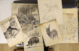 Hannah Barlow (1851-1916) - pen and ink, seven assorted ink and pencil drawings of animals,