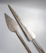 Two East Africa, Transval (Zululand) spears, 236cm
