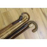 Six various walking canes, horn handled cane, 84 cms high.