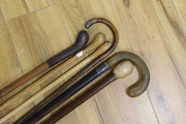 Six various walking canes, horn handled cane, 84 cms high.