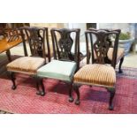 A set of twelve early 20th century Chippendale revival carved mahogany dining chairs including two