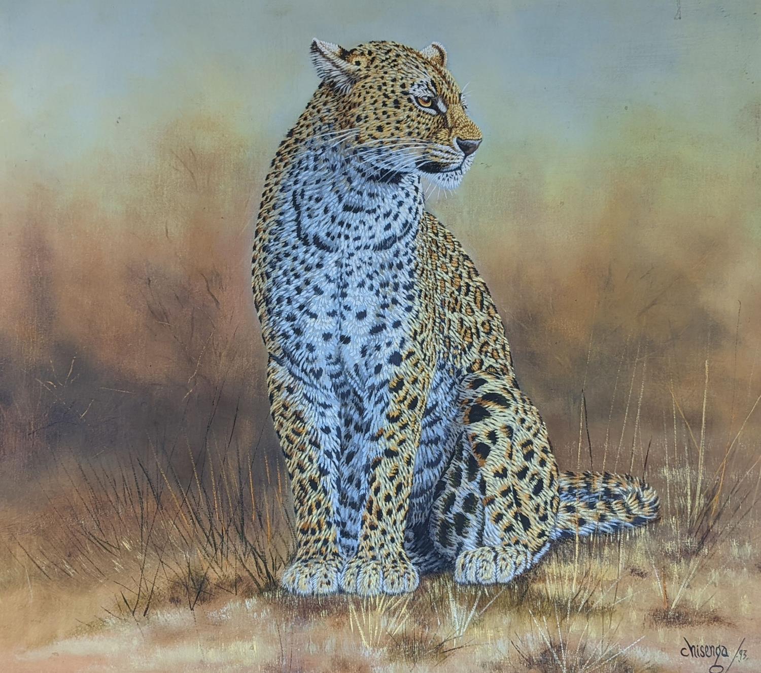 Chisenga, oil on canvas, Study of a leopard, signed and dated '93, 57 x 65cm
