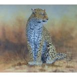 Chisenga, oil on canvas, Study of a leopard, signed and dated '93, 57 x 65cm