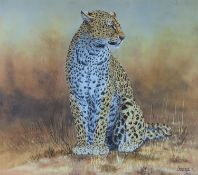 Chisenga, oil on canvas, Study of a leopard, signed and dated '93, 57 x 65cm