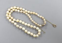 A single strand graduated cultured pearl necklace, with diamond set yellow metal clasp, 38cm.