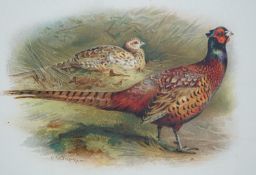 ° ° Dixon, Charles - The Game Birds and Wild Fowl of the British Islands. Edition de Luxe (of 100