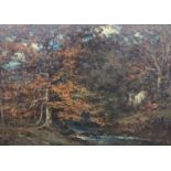 Late 19th century French School, oil on canvas, Woodland in autumn, 37 x 56cm