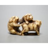 A Japanese ivory netsuke monkey group, 19th century, signed, 5cm