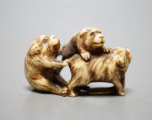 A Japanese ivory netsuke monkey group, 19th century, signed, 5cm