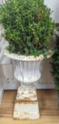 A pair of Victorian painted cast iron campana garden urns, height 70cm