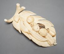 A group of Chinese carved ivory fruits, on ‘leaf’, 19cm